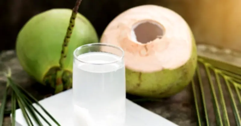 Nước Dừa Buổi Sáng: Lựa Chọn Bù Nước Tối Ưu Theo Chuyên Gia Dinh Dưỡng Ấn Độ