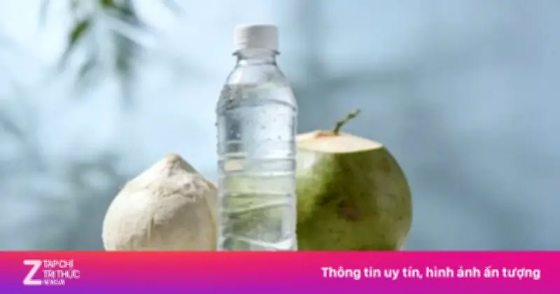 Nước Dừa Tươi Hay Đóng Chai: Lựa Chọn Nào Tốt Hơn Cho Sức Khỏe?