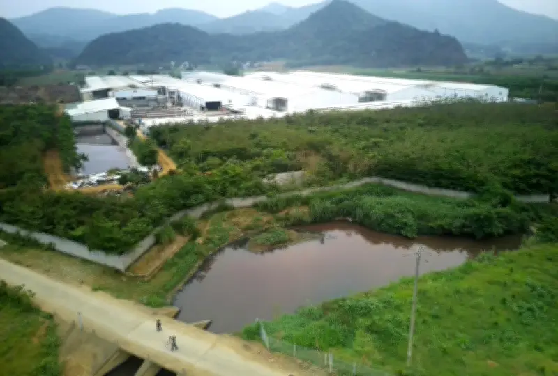 Nước sinh hoạt tại Thôn Quang Trung, Thanh Hóa chuyển màu lạ, bốc mùi hôi thối