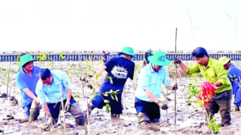 Đồng bằng sông Cửu Long đối mặt kép: Cháy rừng và xâm nhập mặn trong mùa khô 2026