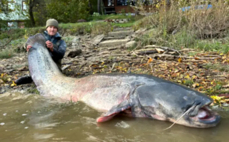 Ngư dân Jakub Wagner bắt cá trê khổng lồ 2,52 mét tại Cộng hòa Séc