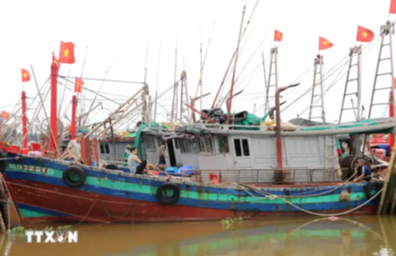Ngư dân Ninh Bình kiên trì bám biển trước áp lực giá nhiên liệu tăng cao