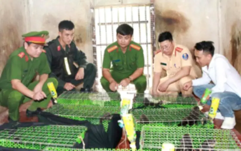 Đường Dây Buôn Động Vật Quý Hiếm Trên Mạng Xã Hội: Mối Lo An Ninh Mới