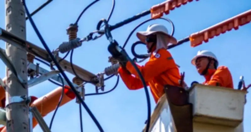 Đồng Nai chỉ đạo xử lý dứt điểm nợ tiền điện gần 10,5 tỉ đồng của cơ quan nhà nước