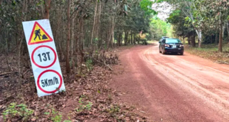 Đồng Nai dự chi gần 29.000 tỷ làm đường nối Vành đai 4 TP.HCM, có đoạn vượt rừng