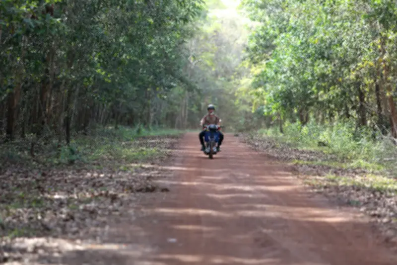 Đồng Nai điều chỉnh dự án đường nối Tây Nguyên với Vành đai 4 TP.HCM lên 6 làn xe