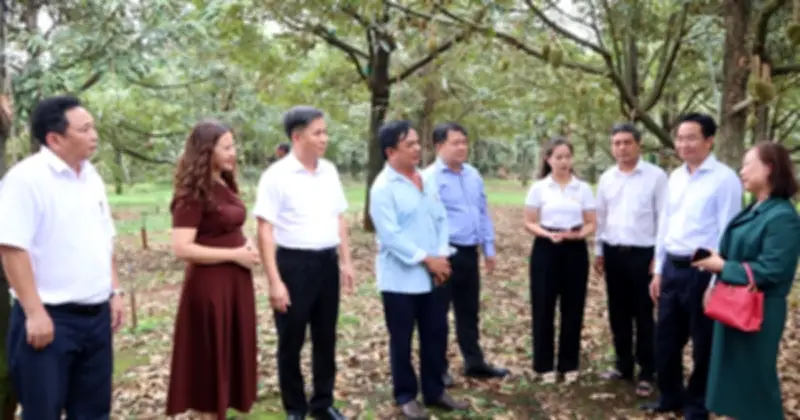 Đồng Nai kết nối '3 nhà' tìm đầu ra bền vững cho sầu riêng