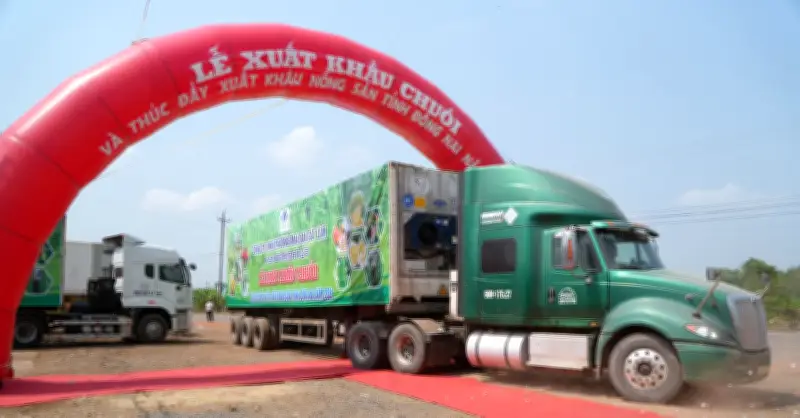 Đồng Nai xuất khẩu 220 tấn chuối một ngày, hướng tới thị trường tỷ đô