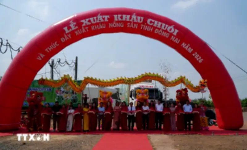 Đồng Nai xuất khẩu thành công 220 tấn chuối sang các thị trường quốc tế