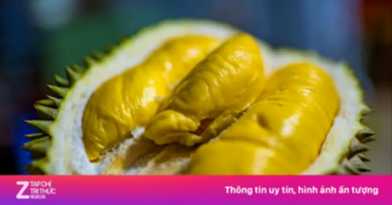 Đường Sắt Xuyên Quốc Gia: Lợi Thế Mới Cho Sầu Riêng Thái Lan, Thách Thức Với Việt Nam