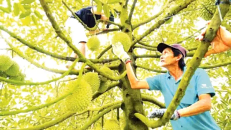 Đồng Tháp đối mặt bất bình đẳng nguồn nước: Thừa lũ phía Bắc, hạn mặn khốc liệt phía Đông