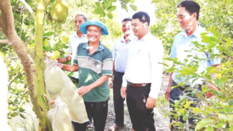 Đồng Tháp: Nông dân chuyên nghiệp thay đổi tư duy, nâng cao hiệu quả sản xuất