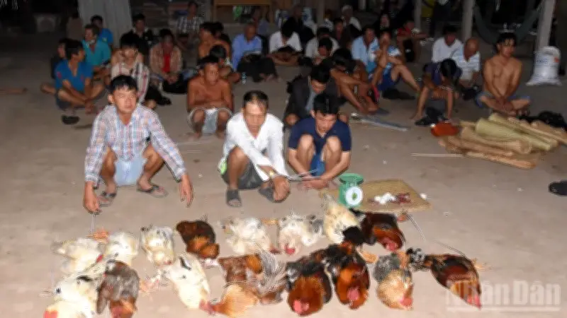 Đồng Tháp: Triệt phá sới bạc đá gà lớn, thu giữ hàng trăm triệu đồng