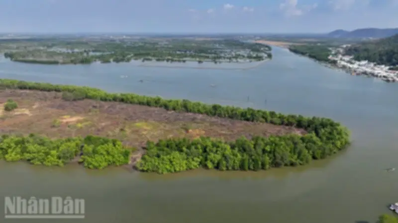 Ông Trần Văn Út Bị Xử Phạt Và Cưỡng Chế Vì Chiếm Dụng Gần 248.000m2 Đất Công Tại Đầm Đông Hồ