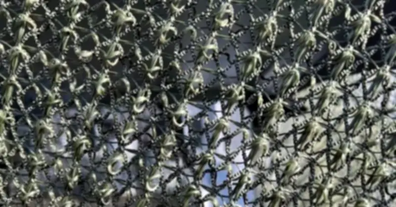 Nga công bố lưới chống drone Darwin-Z: Giải pháp 'tự chữa lành' cách mạng cho chiến trường