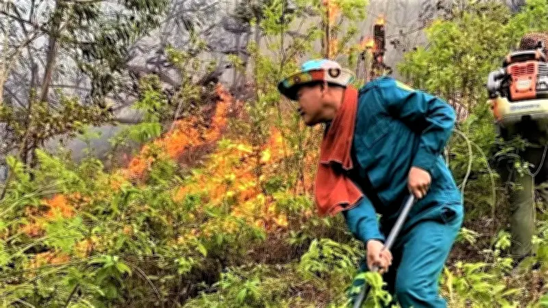 Nghệ An cảnh báo cháy rừng cấp nguy hiểm, triển khai khẩn cấp biện pháp phòng chống