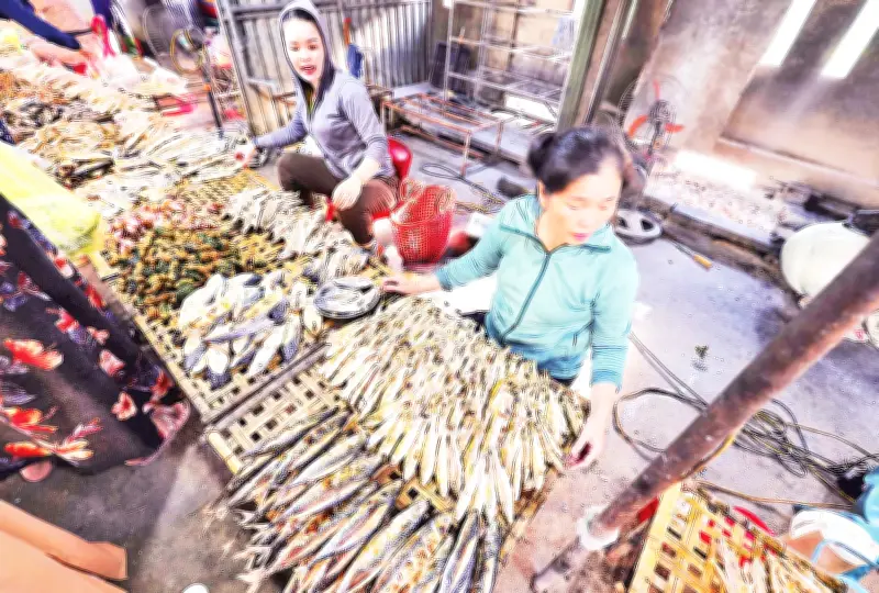 Nghệ An Khai Thác 'Mỏ Vàng' Văn Hóa Biển Qua Ngày Hội Cá Trích Hải Châu