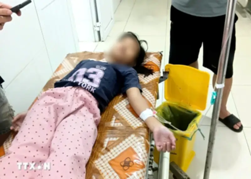 Đề Nghị Điều Tra Nguồn Gốc Thực Phẩm Khiến Hơn 20 Người Nhập Viện Ở Nghệ An