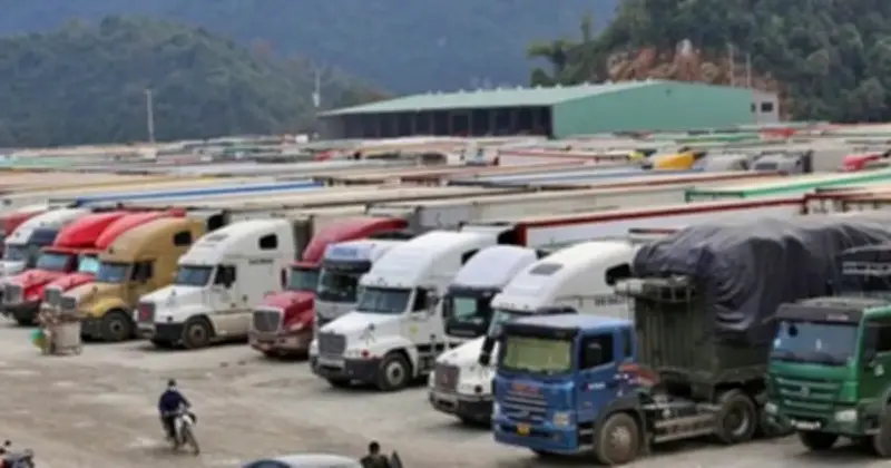 Nghị Quyết 15 Chính Thức Có Hiệu Lực, Tạm Ngưng Hai Văn Bản Về An Toàn Thực Phẩm