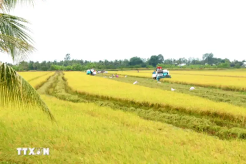 Nghị quyết mới thúc đẩy phát triển nông nghiệp, nông thôn bền vững tại Việt Nam