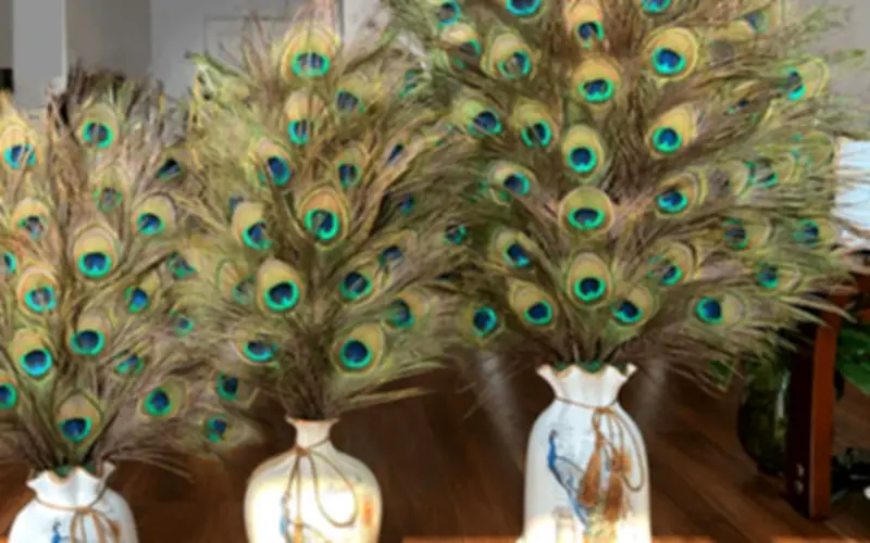 Ý nghĩa bình long công trong phong thủy và cải vận bạn nên biết