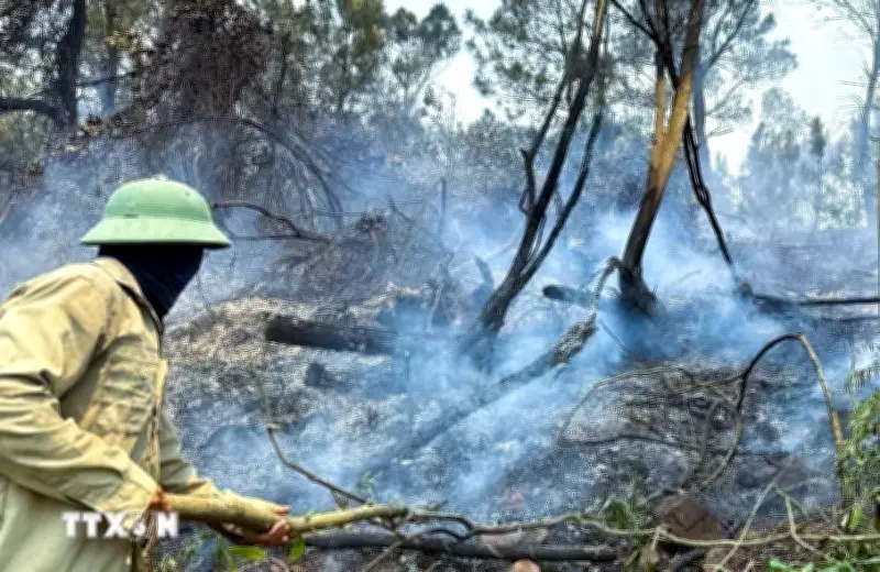 Nghe An: Cháy rừng phía sau núi Mỏ Đá, hơn 500m2 rừng bị thiêu rụi