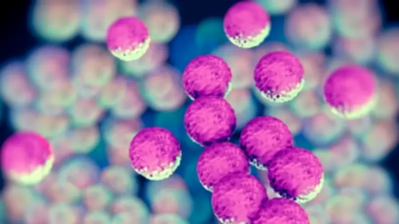 Nghiên cứu Bỉ phát hiện lợi khuẩn mũi giúp giảm triệu chứng hậu Covid-19