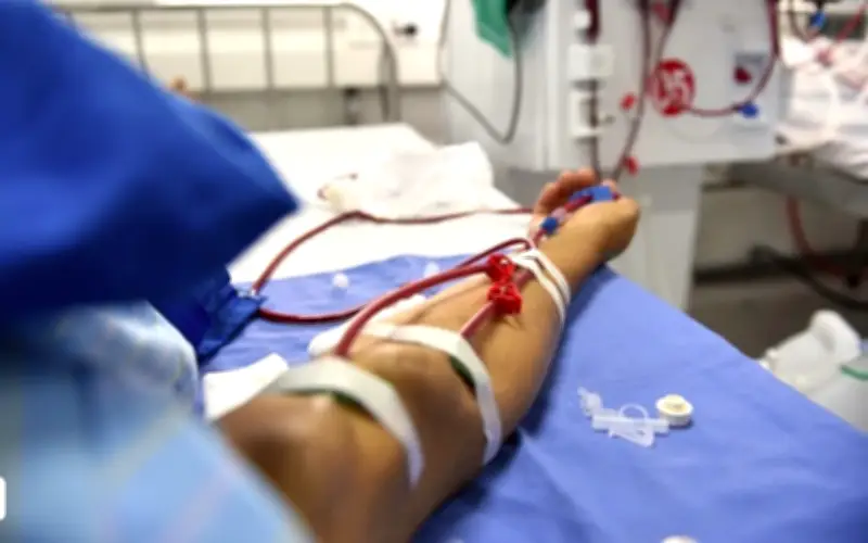 Người bệnh suy thận ăn ổi: Lưu ý quan trọng để duy trì chức năng thận tốt nhất