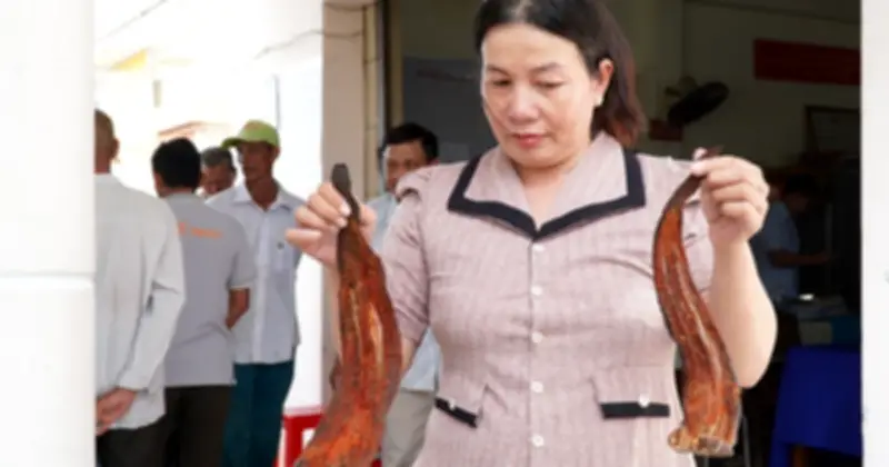Người dân Cà Mau mang cá chết đến cuộc họp đòi bồi thường dự án sân bay