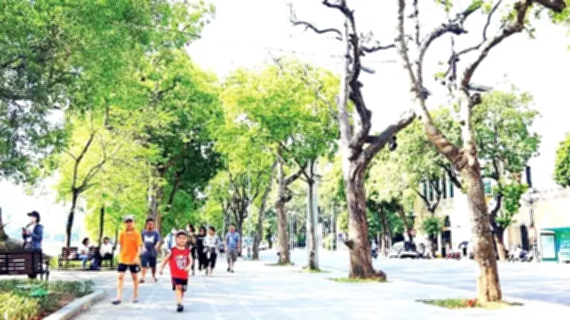 Người đi bộ ở đô thị: Bộ phận thiệt thòi trong không gian giao thông ngày càng thu hẹp