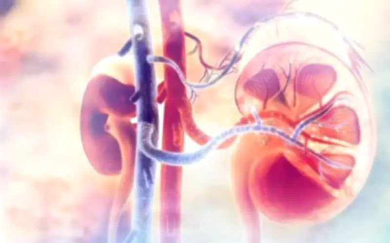Người đàn ông 35 tuổi suy giảm chức năng thận vì bỏ qua dấu hiệu nhiều người Việt mắc