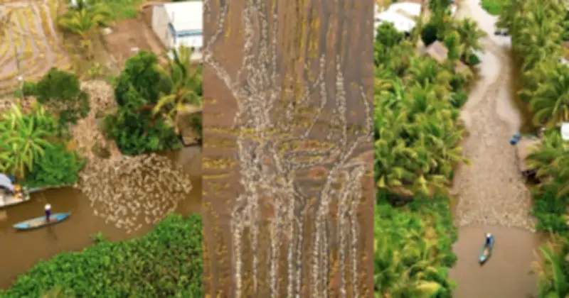 Người đàn ông Cần Thơ ghi lại vẻ đẹp miền Tây từ trên cao thu hút triệu lượt xem