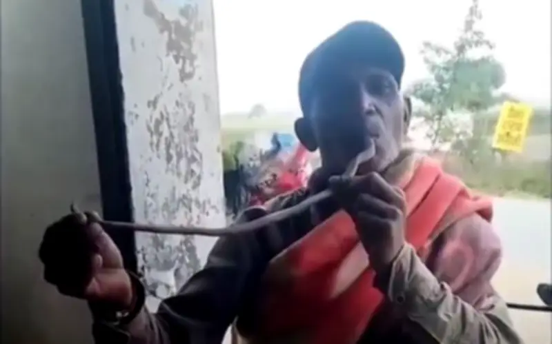 Người đàn ông Ấn Độ tử vong sau khi cố đưa đầu rắn hổ mang vào miệng