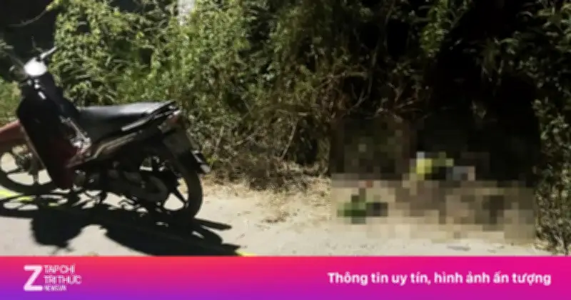 Người đàn ông tử vong trong bụi cây ven đường tại Lâm Đồng, cơ quan chức năng đang điều tra nguyên nhân