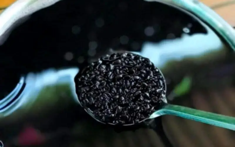 Người Suy Thận Nên Uống Gì? 4 Loại Đồ Uống Dễ Làm Tại Nhà