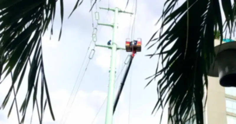 Người thợ điện TP.HCM vắt vẻo trên cao, cuộc thi 220 triệu đồng kỷ niệm 50 năm