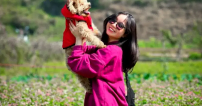 Người trẻ nuôi thú cưng: Gói mì tôm chia đôi, chi tiền triệu cho spa