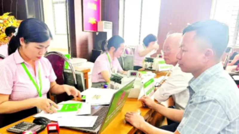 Ngân Hàng Chính Sách Xã Hội Tam Đảo: Cánh Cửa Vốn Ưu Đãi Giúp Hộ Nghèo Vươn Lên