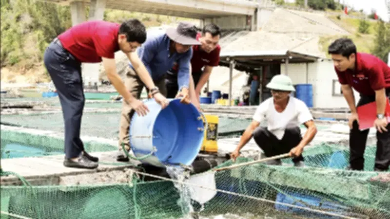 Ngân hàng giảm lãi suất, hỗ trợ nông dân và doanh nghiệp phục hồi sau thiên tai