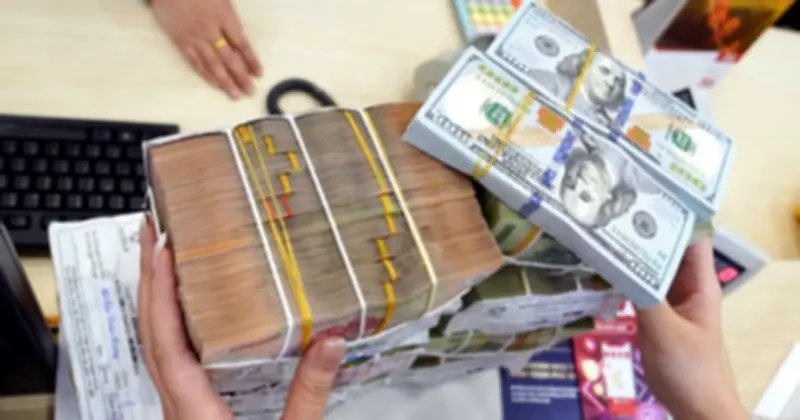 Ngân hàng Nhà nước tăng tỷ giá trung tâm, USD trong nước đạt trần giá