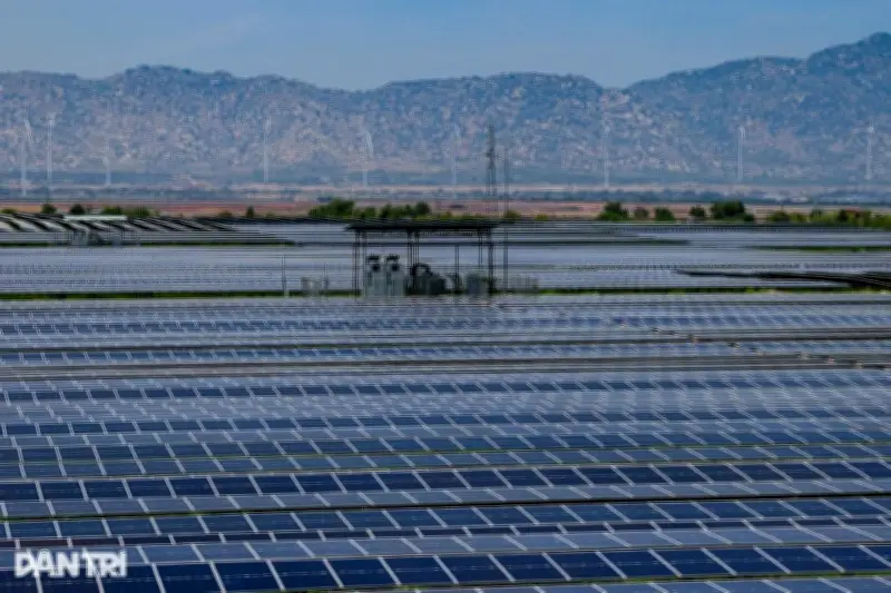 Ngành điện mặt trời phân hóa mạnh: Doanh nghiệp lỗ trăm tỷ, điện gió vẫn lãi đậm