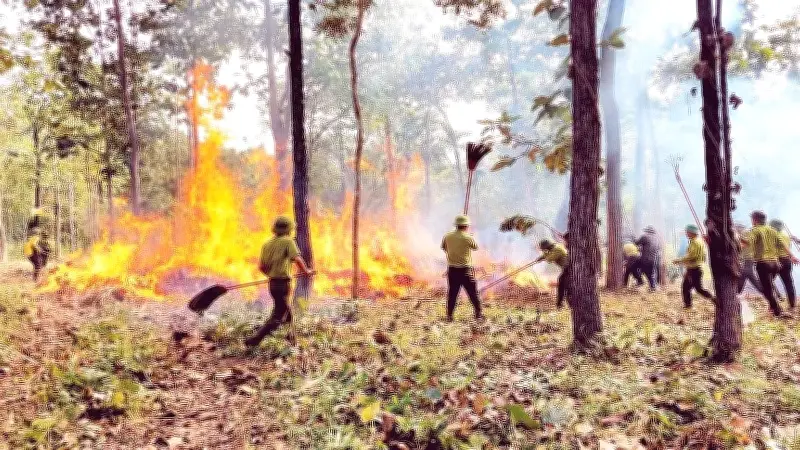 Ngày đêm bám rừng canh 'giặc lửa' tại Đắk Lắk