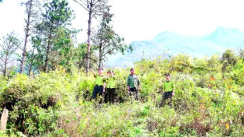 Ngày đêm căng mình bảo vệ rừng trước nguy cơ cháy cao tại Hoàng Liên