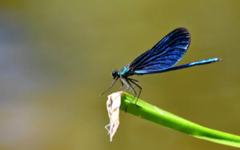 Ngày sinh âm lịch tiết lộ cuộc đời: Trẻ nhiều thử thách, về già an vui như ý