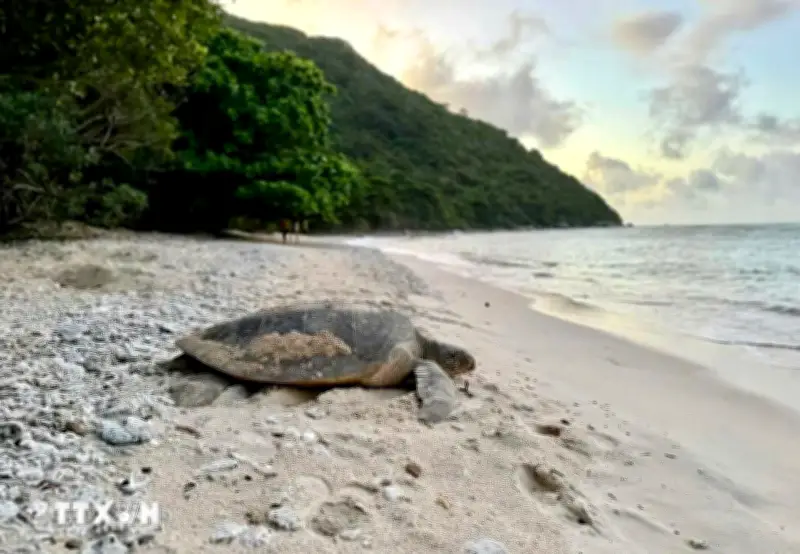 Ngày Trái Đất 22/4: Sức mạnh của chúng ta, hành tinh của chúng ta