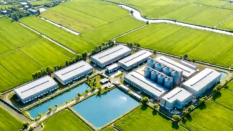 Nhà Máy Chế Biến Gạo 1.000 Tỷ Đồng Khởi Công Tại Hưng Yên, Ứng Dụng Công Nghệ Nhật - Âu