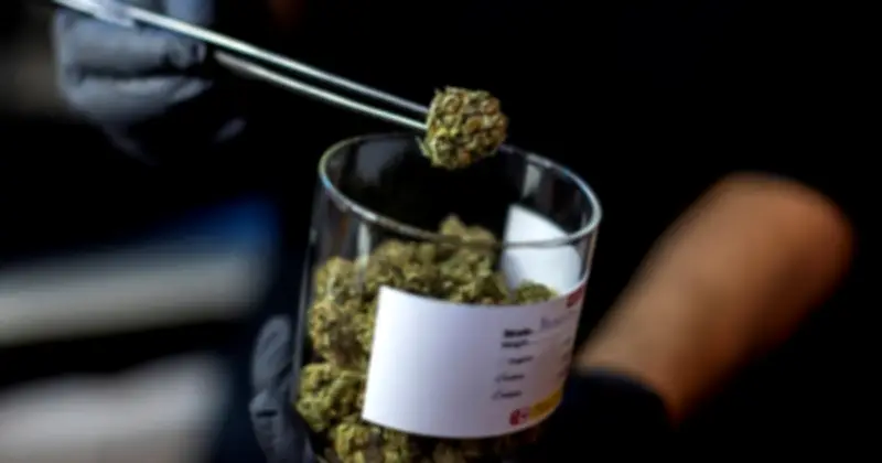 Nhà sư Sri Lanka bị bắt vì giấu cần sa Kush trong vali tại Thái Lan