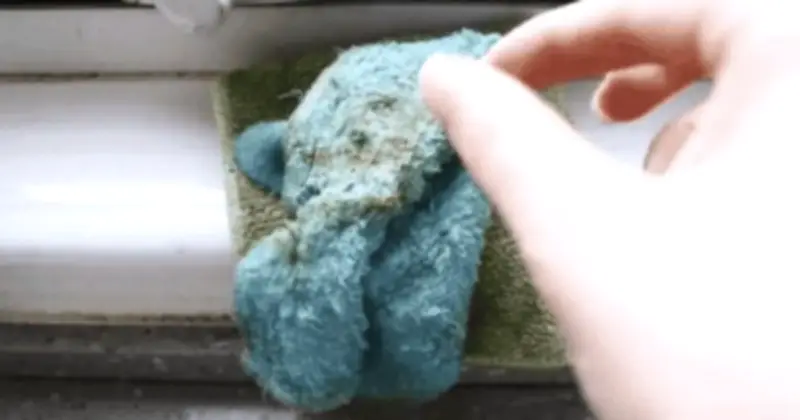 Nhà sạch nhưng 6 vật dụng này đang sinh vi khuẩn 24/7 mà bạn không hề hay biết