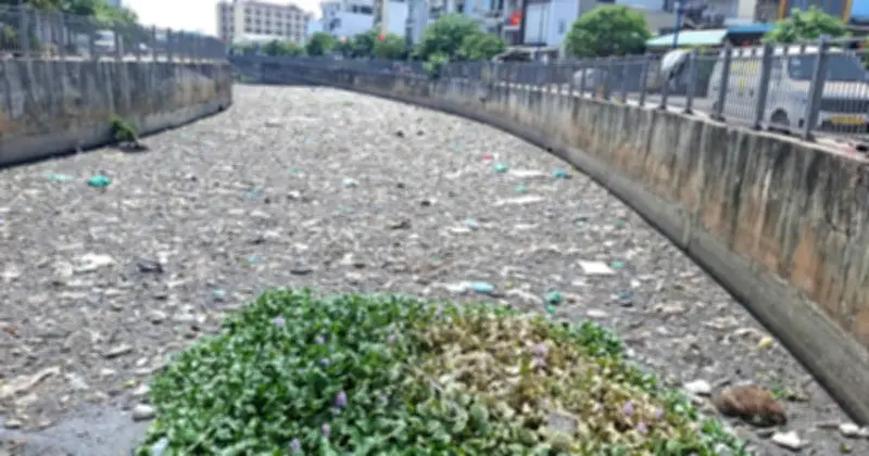 Ô nhiễm nghiêm trọng tại Kênh Nước Đen: Rác thải và lục bình ùn ứ đe dọa sức khỏe người dân