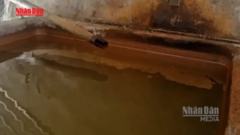 Nhiều hộ dân Đắk Lắk thiếu nước sạch trầm trọng do nguồn nước nhiễm phenol